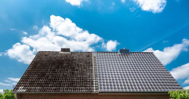 Roof Cleaning