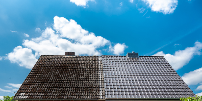 Not All Roof Cleaning Companies are the Same