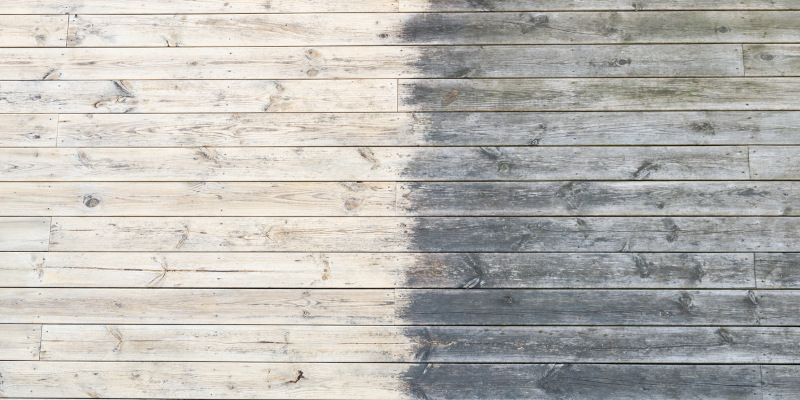 Everything You Need to Know About Professional Softwashing Services