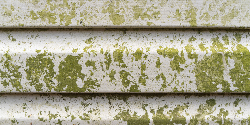 Three Benefits of Siding Cleaning