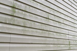 Why Softwashing is the Way to Go for Siding Cleaning