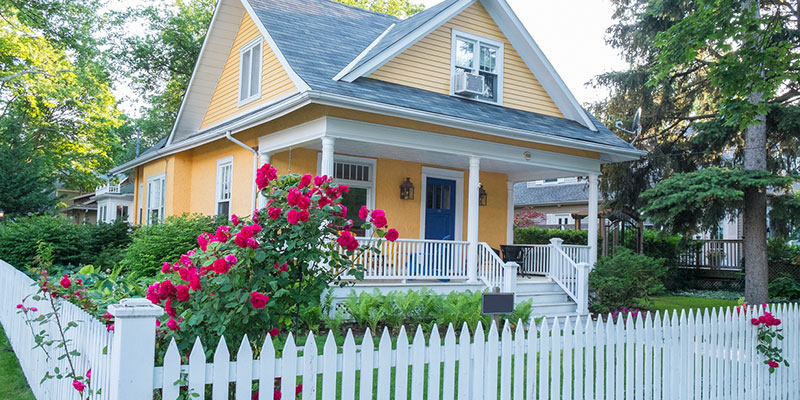 A Brief History of Softwashing