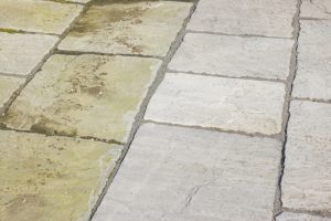 A Beginner’s Guide to Choosing the Right Pressure Washing Service