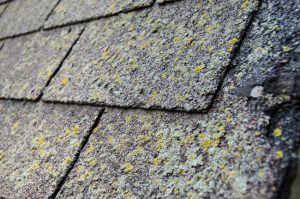 Getting Started With Roof Cleaning Services